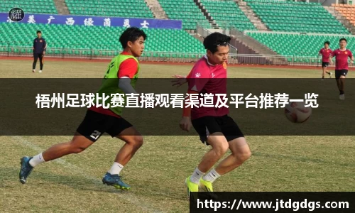 新足球体育直播