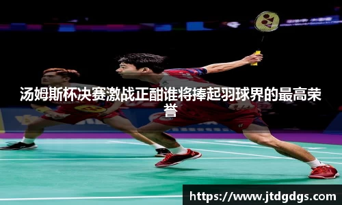 新足球体育直播